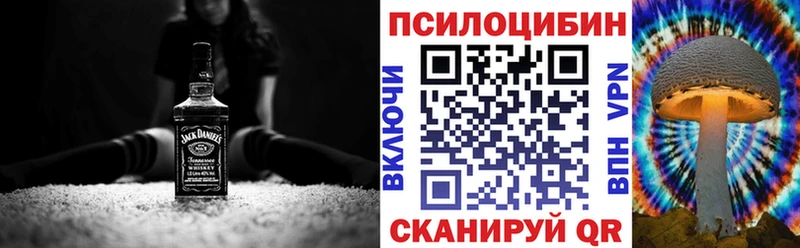 маркетплейс какой сайт  МЕГА как зайти  Псилоцибиновые грибы Cubensis  Цимлянск  где найти наркотики 